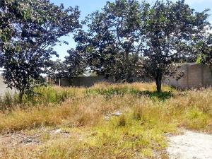 Terreno en Venta en Tlalpan, Distrito Federal  - Foto 2